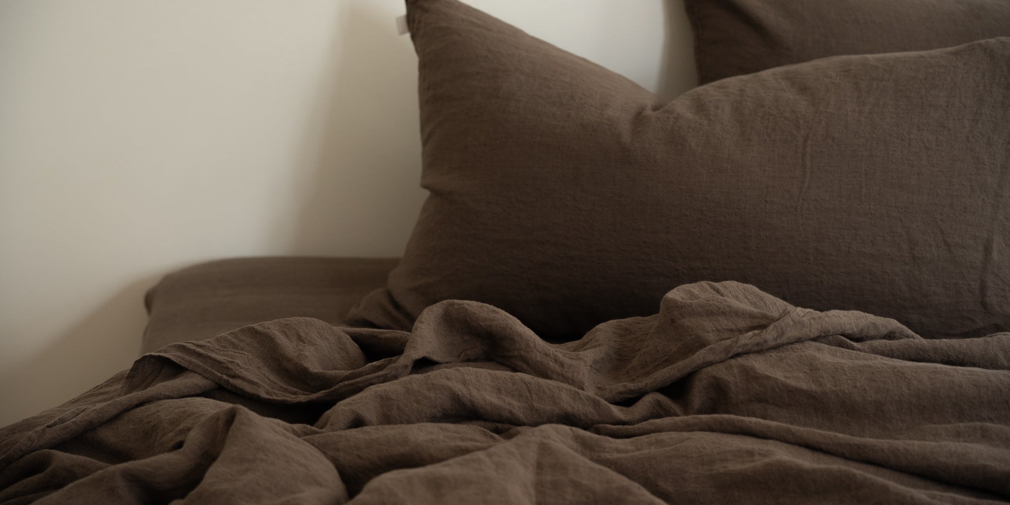 The Deep Science of Deep Sleep