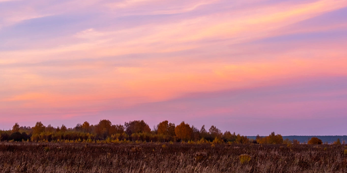 50 Gentle Reminders for a Peaceful Fall Sanctuary