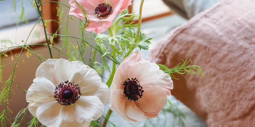 What Touches Your Skin Matters: A Guide to Sustainable Fabrics at Sömn