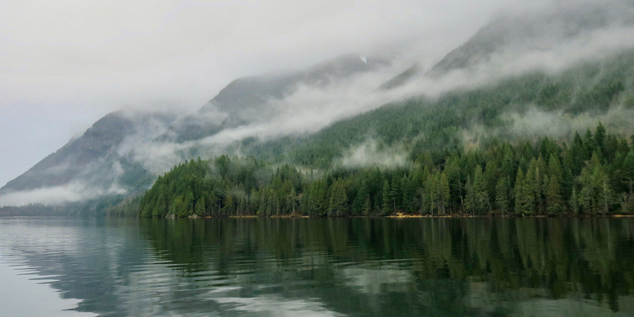 What’s Your Dream Summer Escape?